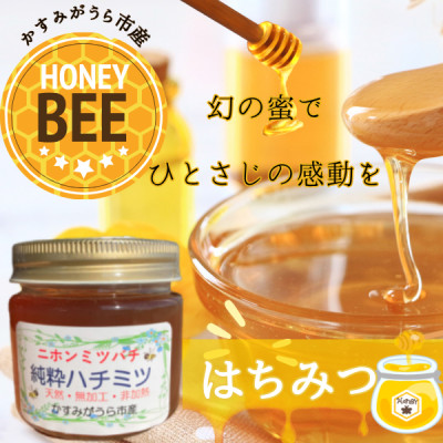 かすみがうら市産『日本みつばち』の純粋はちみつ 150g