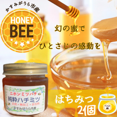 かすみがうら市産『日本みつばち』の純粋はちみつ 150g×2個