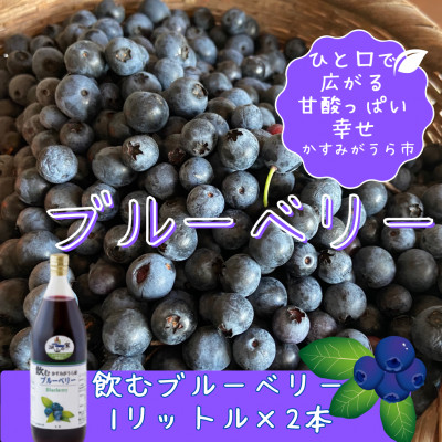 かすみがうら市産　飲むブルーベリー　1L×2本