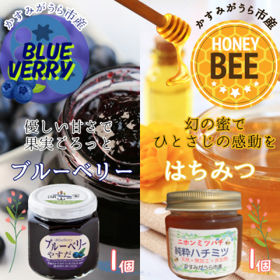 かすみがうら市産　『日本みつばち』の純粋はちみつ ＆ ブルーベリージャム