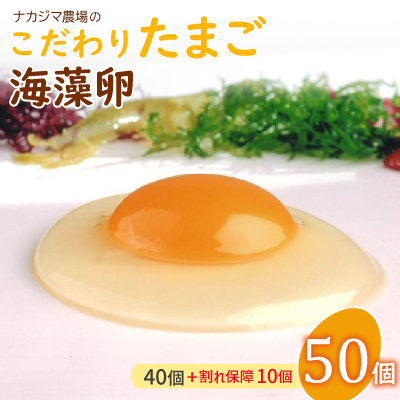 ナカジマ農場のこだわりたまご「海藻卵」50個(40個+割れ保障10個)【配送不可地域：離島】