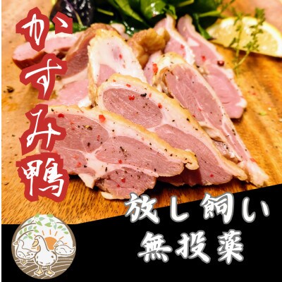 かすみ鴨　モモ肉スモークセット　計約500g(3～4パック)【配送不可地域：離島】