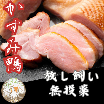 かすみ鴨　ムネ肉のスモーク　1枚(200g)【配送不可地域：離島】