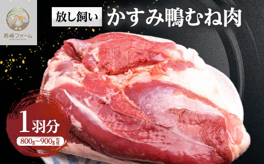 かすみ鴨むね肉　1羽分(800g～900g程度)【配送不可地域：離島】