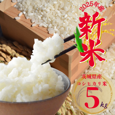 2025年新米 茨城県産 コシヒカリ米(精米)5kg