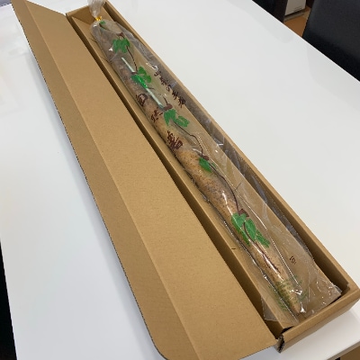 かすみがうら市産　自然薯1本(約1kg)