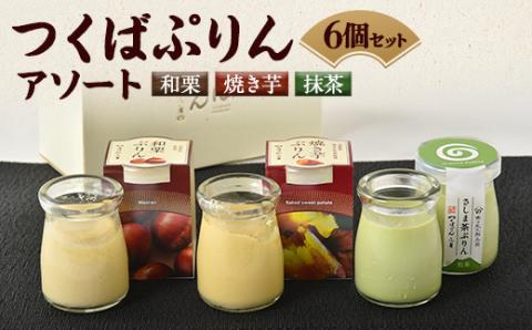 つくばぷりんアソート(6個セット)【配送不可地域：離島】