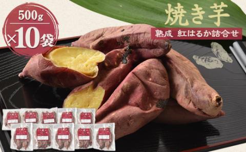 焼き芋「熟成　紅はるか」詰合せ×2セット【配送不可地域：離島】