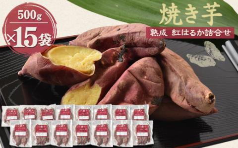 焼き芋「熟成　紅はるか」詰合せ×3セット【配送不可地域：離島】