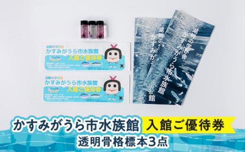 かすみがうら市水族館入館ご優待券および透明骨格標本3点