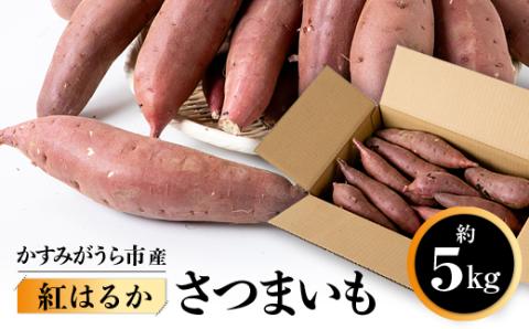かすみがうら市産　さつまいも(紅はるか)約5kg