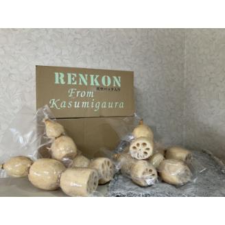 かすみがうらの宝石　キュートな小粒れんこん(真空パック入り)2kg【配送不可地域：離島】