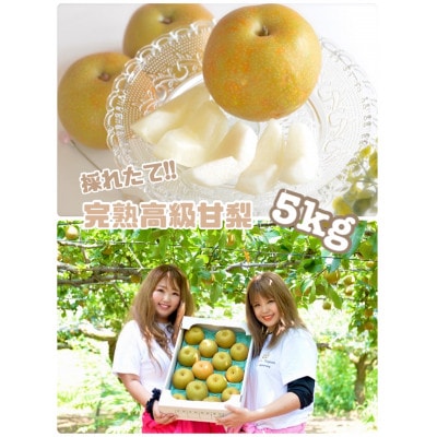 採れたて!とっても甘い　完熟梨!約5kg【配送不可地域：離島】