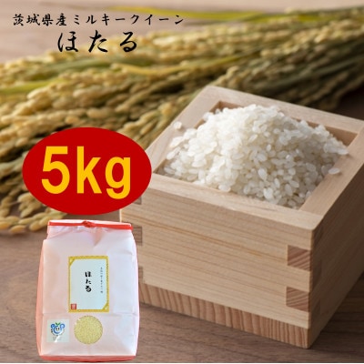 茨城県産ミルキークイーンほたる5kg