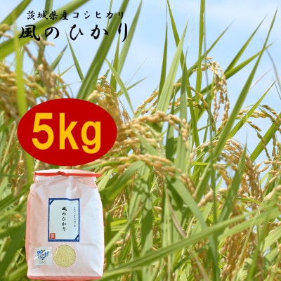 茨城県産コシヒカリ風のひかり5kg