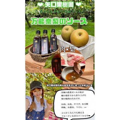 高級焼き肉のたれ　万能奈梨のタレ　200m×3本