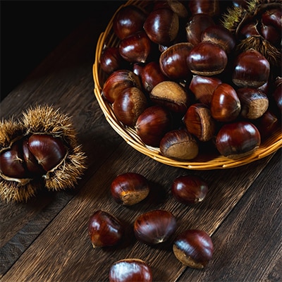 こだわりの熟成生栗約1kg　栽培期間農薬肥料不使用　【配送不可地域：離島・沖縄県】