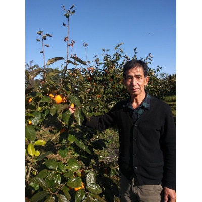 柿の中の柿、最も古くから愛されている美味しい富有柿　約3.5kg(10～14個)