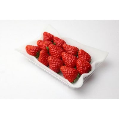 とちおとめ 大粒 250g(8～12粒)×4pc 県内共通返礼品【配送不可地域：離島・北海道・沖縄県・中国・四国・九州】