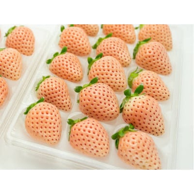 ピンクいちご 大粒 250g(8～12個)×4pc 県内共通返礼品【配送不可地域：離島・北海道・沖縄県・中国・四国・九州】