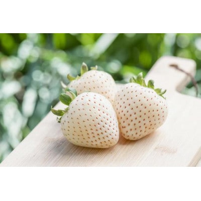 シャインマスカットと白いちごの宝石箱 18粒入り 県内共通返礼品【配送不可地域：離島・北海道・沖縄県・中国・四国・九州】