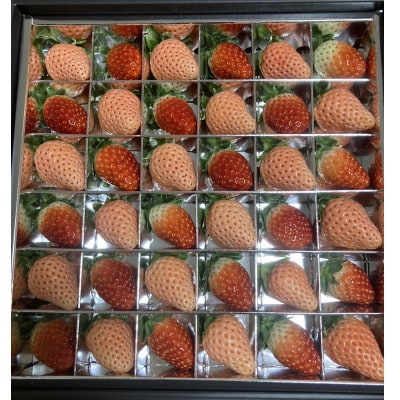 赤いちごと白いちごの宝石箱 36粒入り 県内共通返礼品【配送不可地域：離島・北海道・沖縄県・中国・四国・九州】