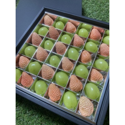 シャインマスカットと白いちごの宝石箱 36粒入り 県内共通返礼品【配送不可地域：離島・北海道・沖縄県・中国・四国・九州】