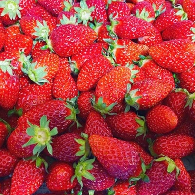 訳ありいちご　1kg　県内共通返礼品【配送不可地域：離島・北海道・沖縄県・中国・四国・九州】