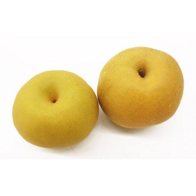 幸水 10kg(20～24個) 県内共通返礼品【配送不可地域：離島・北海道・沖縄県・中国・四国・九州】