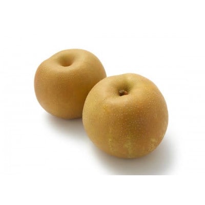 豊水　5kg 10～12個　県内共通返礼品【配送不可地域：離島・北海道・沖縄県・中国・四国・九州】