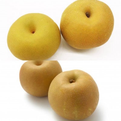 梨　食べ比べ(5～8個×2品種)　県内共通返礼品【配送不可地域：離島・北海道・沖縄県・中国・四国・九州】