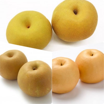 梨　食べ比べ(5～8個×3品種)　県内共通返礼品【配送不可地域：離島・北海道・沖縄県・中国・四国・九州】