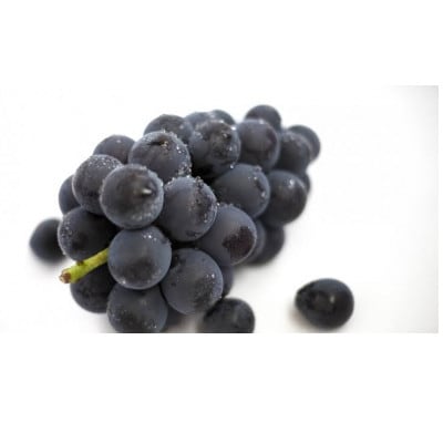 巨峰　1房　県内共通返礼品【配送不可地域：離島・北海道・沖縄県・中国・四国・九州】