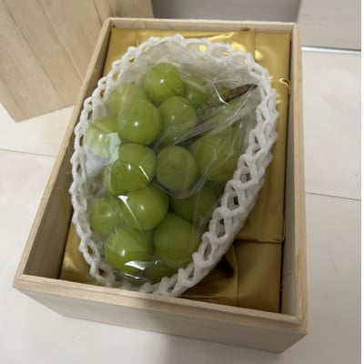 シャインマスカット　桐箱入り　1房　県内共通返礼品【配送不可地域：離島・北海道・沖縄県・中国・四国・九州】