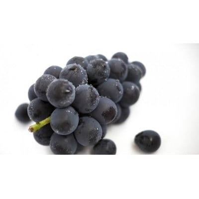 巨峰　桐箱入り　2房　県内共通返礼品【配送不可地域：離島・北海道・沖縄県・中国・四国・九州】