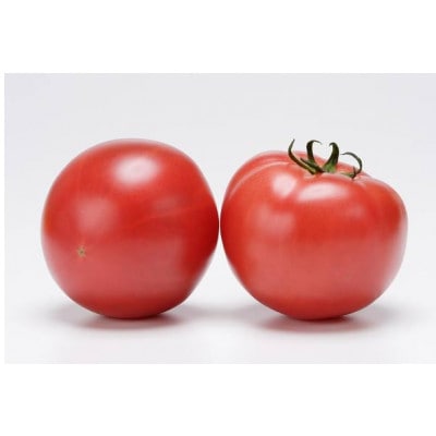 大玉トマト　6kg 県内共通返礼品【配送不可地域：離島・北海道・沖縄県・信越、北陸・東海・近畿・中国・四国・九州】