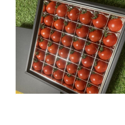 フルーツミニトマトの宝石箱　36粒　県内共通返礼品【配送不可地域：離島・沖縄県】