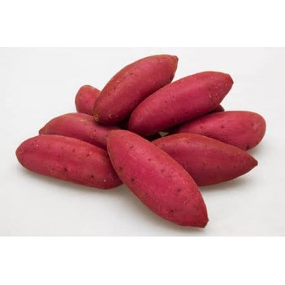 シルクスイート　5kg 県内共通返礼品【配送不可地域：離島・北海道・沖縄県・信越、北陸・東海・近畿・中国・四国・九州】