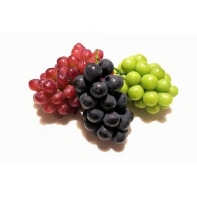 大房ぶどう品種ランダム 3房×700g 茨城県内共通返礼品:かすみがうら市【配送不可地域：離島・沖縄県】