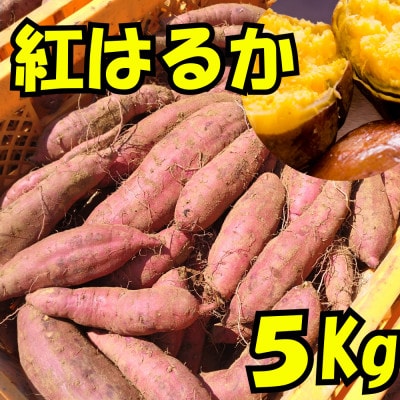 さつまいも(紅はるか)5kg