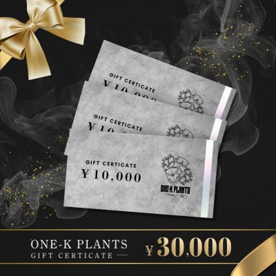 ONE-K PLANTS - ギフト券 - 30,000円