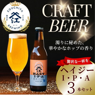 クラフトビール ヘイジーIPA 計990ml 3本セット【配送不可地域：離島】