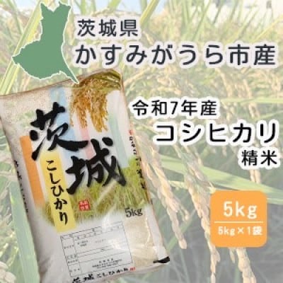 令和7年産　茨城県かすみがうら市産　精米　コシヒカリ　5kg