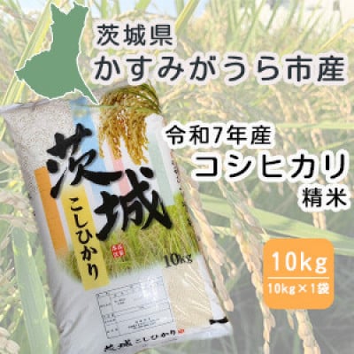 令和7年産　茨城県かすみがうら市産　精米　コシヒカリ　10kg