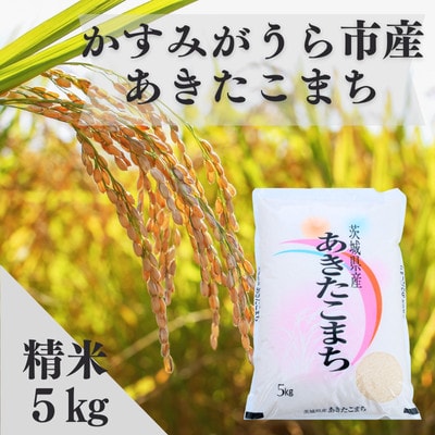 令和7年産かすみがうら市産あきたこまち  精米  5kg