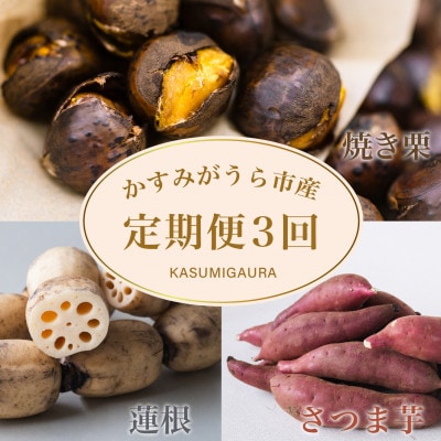 【発送月固定定期便】茨城県 特産品3種全3回【配送不可地域：離島】
