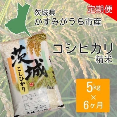 【毎月定期便】茨城県かすみがうら市産 コシヒカリ 精米 5kg全6回