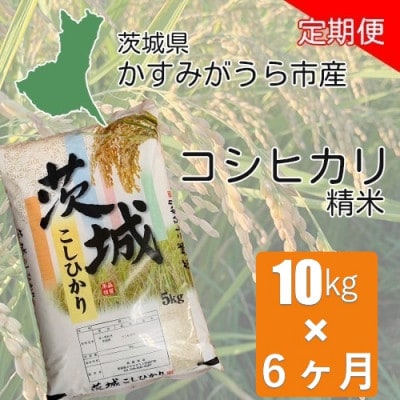 【毎月定期便】茨城県かすみがうら産 コシヒカリ 精米 10kg全6回