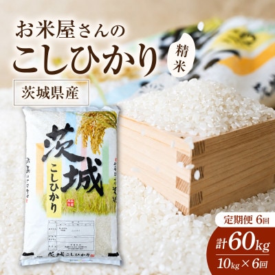 【毎月定期便】お米屋さんのコシヒカリ 精米 10kg(5kg×2)  全6回