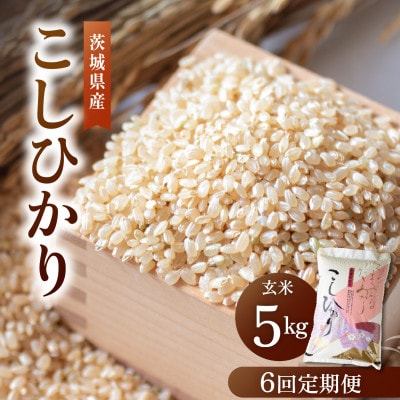 【毎月定期便】こだわりのコシヒカリ 玄米 5kg | 茨城県全6回